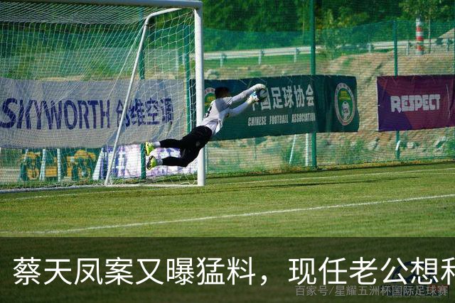 蔡天凤案又曝猛料,现任老公想和前夫发生关系,并承认500万输光